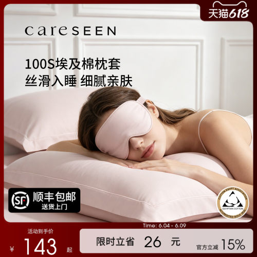 100支双股埃及长绒棉枕套