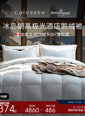 Ranga朗高酒店180支加拿大鹅绒被95白鹅绒被子被芯加厚冬被羽绒被