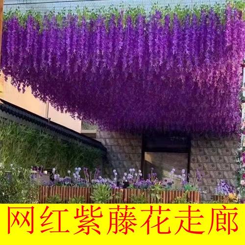 网红走廊吊顶装饰紫藤花藤假花