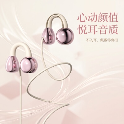 有线耳机高音质适用于华为vivo小米OPPO手机type高音质圆孔重低音