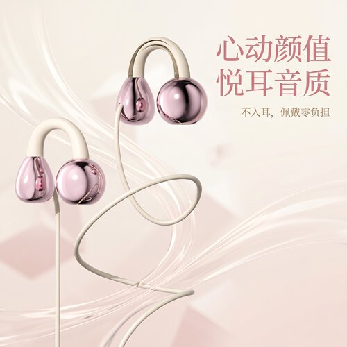 有线耳机高音质适用于华为vivo小米OPPO手机type高音质圆孔重低音