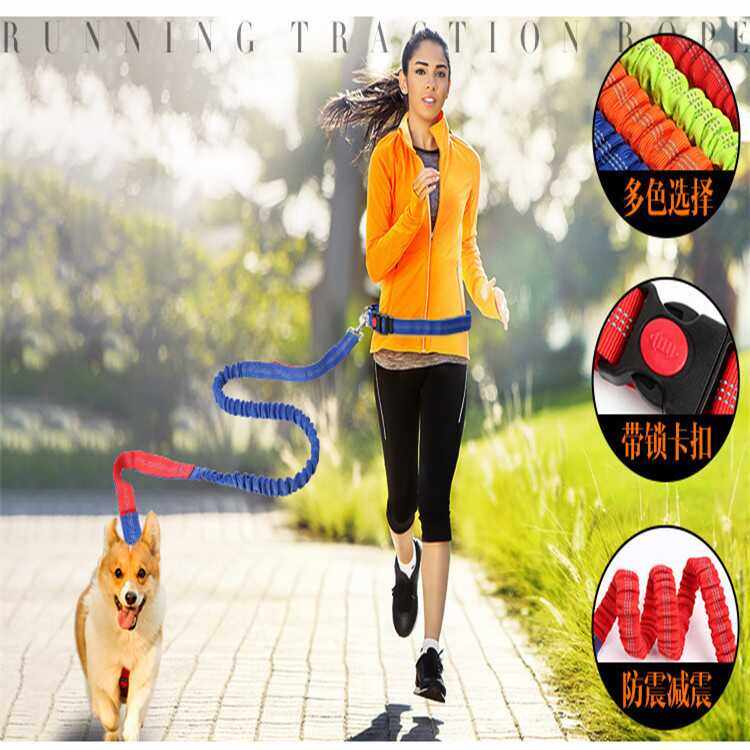 跑步遛狗牵引绳运动牵狗绳套装高弹力遛狗防爆冲户外散步狗绳,宠物/宠物食品及用品,狗牵引绳,淘宝优惠券,粉丝福利购,淘宝优惠卷