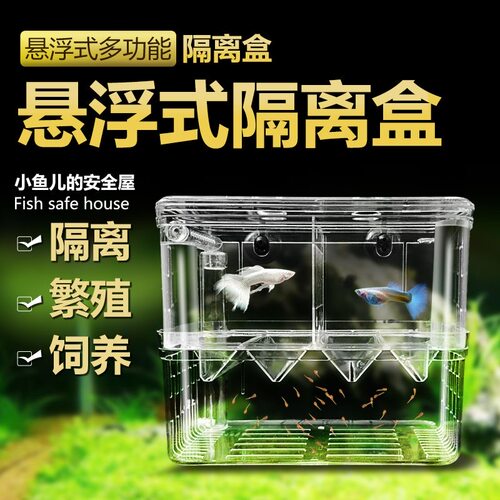 鱼缸隔离盒孔雀鱼孵化盒热带鱼幼鱼繁殖盒特大号大号小号型繁殖箱