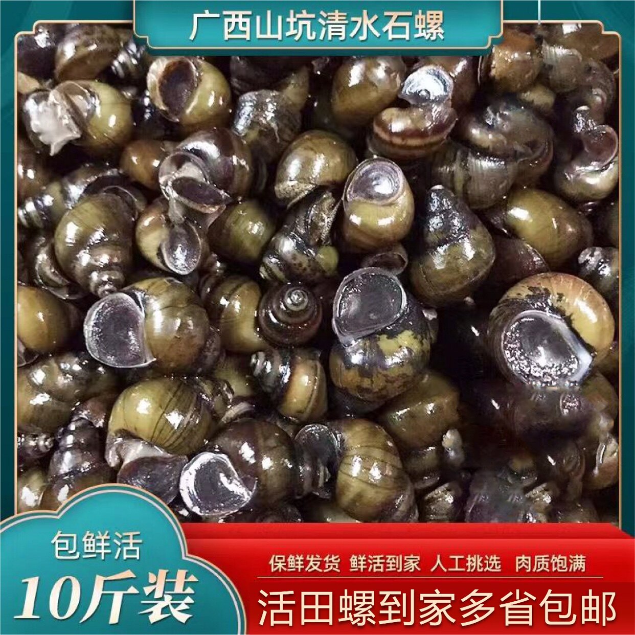 石螺广西山溪清水泥螺活体螺蛳山坑螺现捞鲜活田螺包活小河石螺