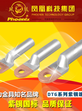 凤凰国标DTL-240平方mm2铜铝过渡接线端子铜铝鼻子 堵油鼻A级