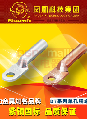 凤凰国标DT-16紫铜16mm2平方A级单孔堵油铜鼻子M8镀锡白色铜本色