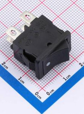 SS21-BBDWG2-R(0.5)D/C 翘板开关 插件-4P,21x15mm 船型开关