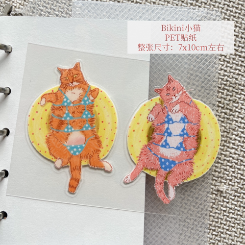 anly原创｜bikini小猫贴纸 PET手帐插画可爱多巴胺