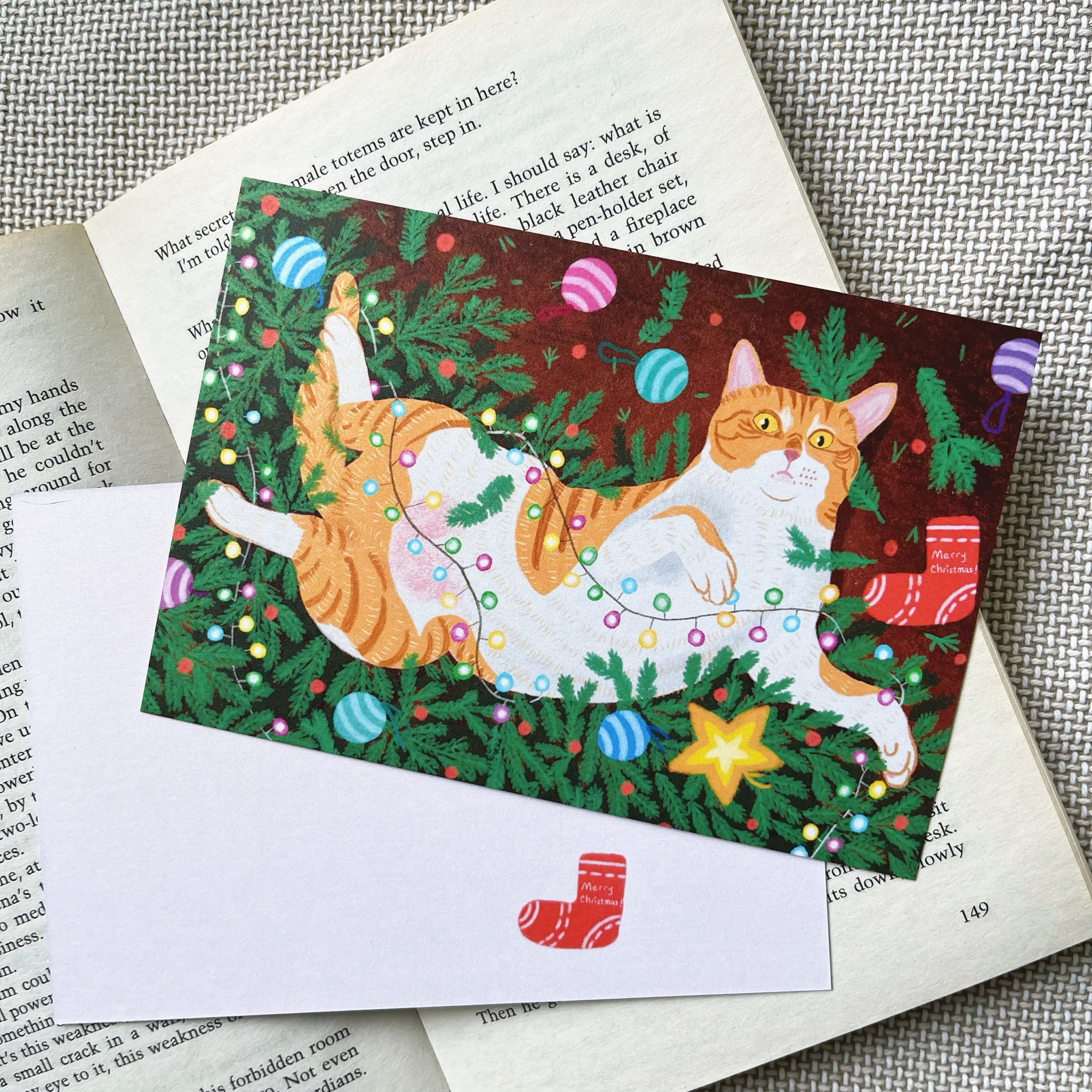 anly明信片｜阿金的圣诞 节日贺卡橘猫原创手绘搞笑