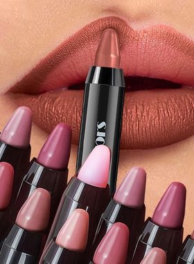 Brown Lip Long Lasting Waterproof Lipstick Cheap Makeup Item
