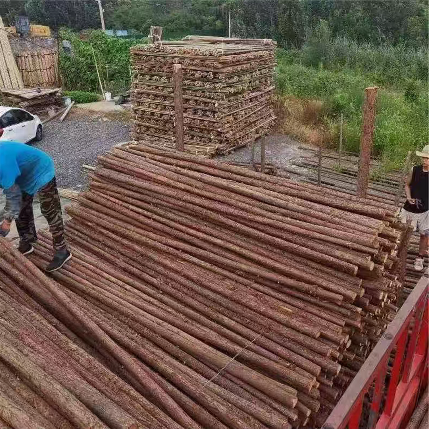 带皮杉木可削尖木桩林园绿植