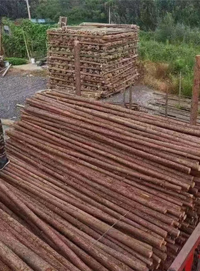 带皮杉木可削尖木桩林园绿化树木支撑杆营地露营民宿实木原木围栏