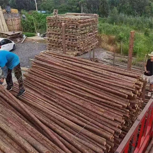 带皮杉木可削尖木桩林园绿化树木支撑杆营地露营民宿实木原木围栏