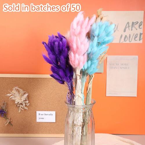 30pcs Nature Bunny Rabbit Tail Grass Dried Flower Bouquet We