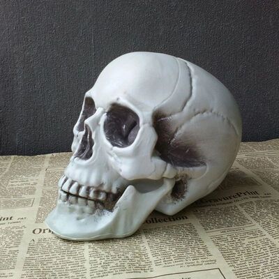 Statues Sculptures Halloween Decorations Artificial Skull He