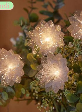 LED Fiber Optic Fairy Light Battery-operated Garland Christm