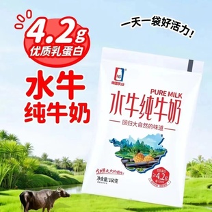 吃甘蔗的水牛水牛奶160g水牛纯牛奶营养便携成人儿童早餐奶整箱批