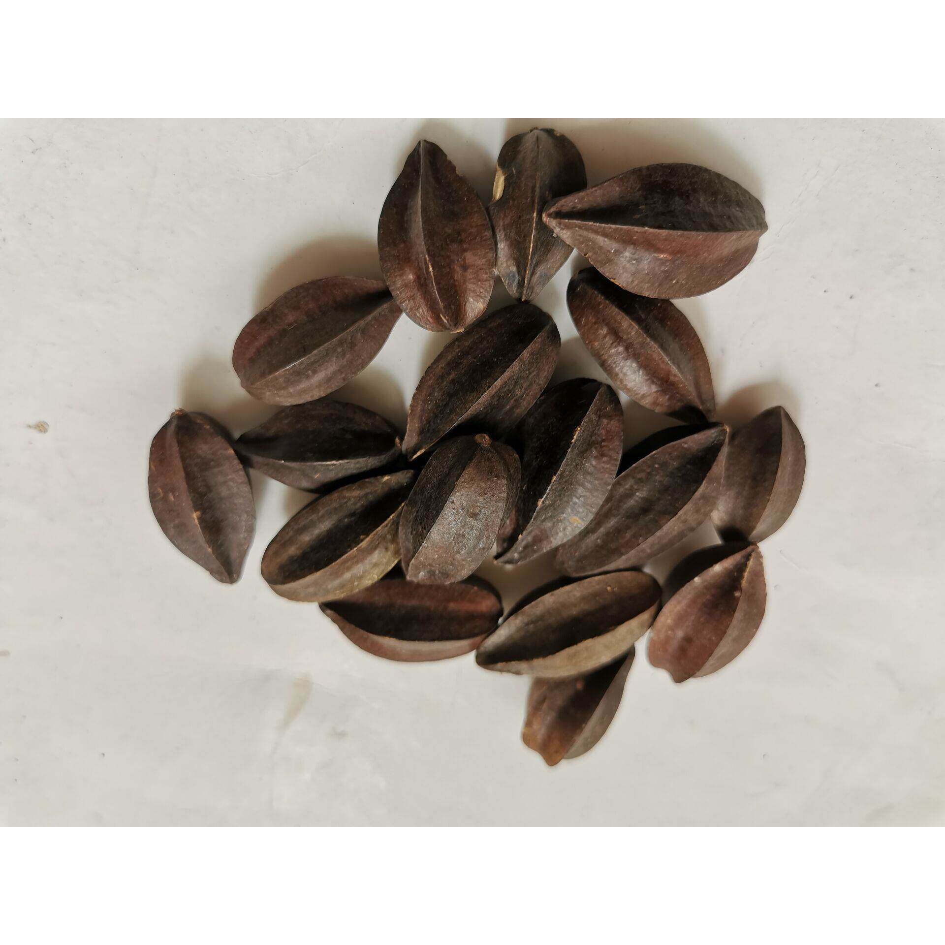 中药材使君子500克 史君子 五棱子东均子留球子索子果 非使君子仁