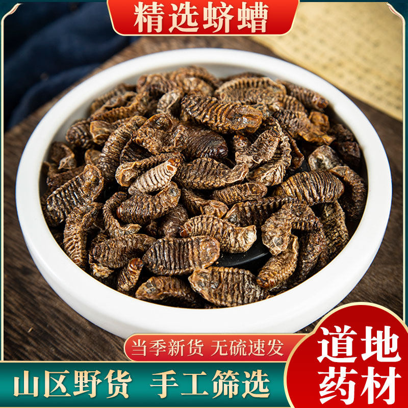 中药材蛴螬 土蚕 老母虫 核桃虫 无硫蛴螬虫 可磨蛴螬粉500克包邮