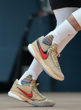 Nike耐克LeBron XX EP詹姆斯20男子运动实战缓震篮球鞋DV9089-200