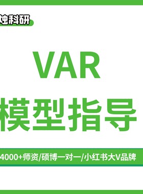 【一烛科研】VAR模型 PVAR模型 SVAR模型 模型指导 实证分析
