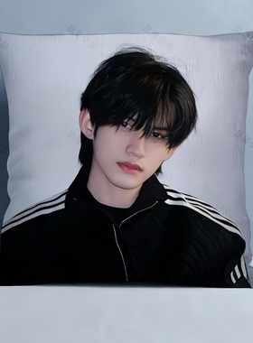 云旗周边吾岸游书郎双面抱枕玩偶海报定制宿舍沙发靠枕生日礼物