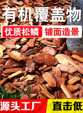 松树皮铺面园林造景花园庭院花池树穴装饰打磨松鳞树皮有机覆盖物