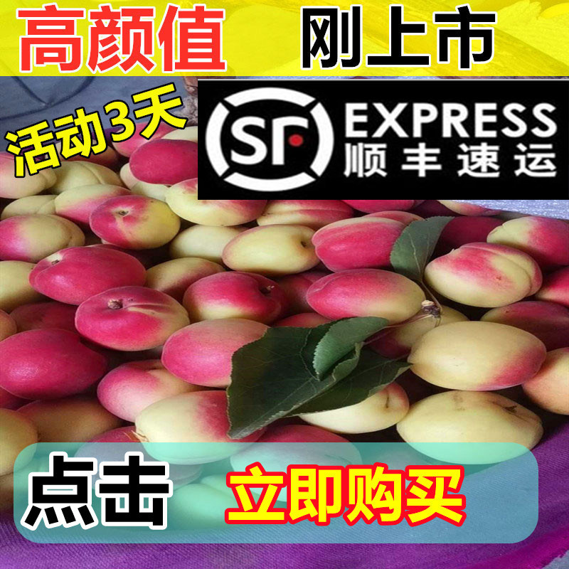 山西大红杏胭脂杏红杏子水果新鲜孕妇儿童杏仁吃红梅杏5斤贵妃杏
