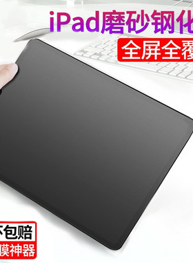 ipad蓝光磨砂钢化膜10.2
