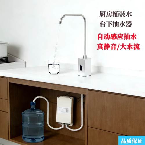 台下桶装水抽水器电动抽水泵管线机水槽龙头上水加水吸水器全自动