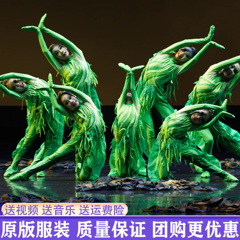 十三届小荷风采春风吹又生演出服儿童小草舞蹈服绿色植物连体裤装
