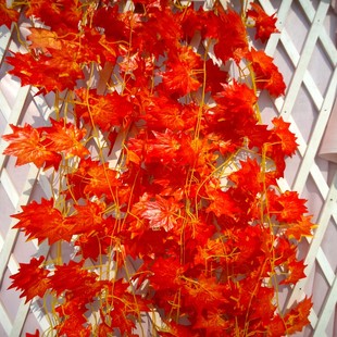 仿真红枫叶装饰绢花藤条树枝壁挂吊顶绿枫银杏叶蔓藤绿植物花卉草