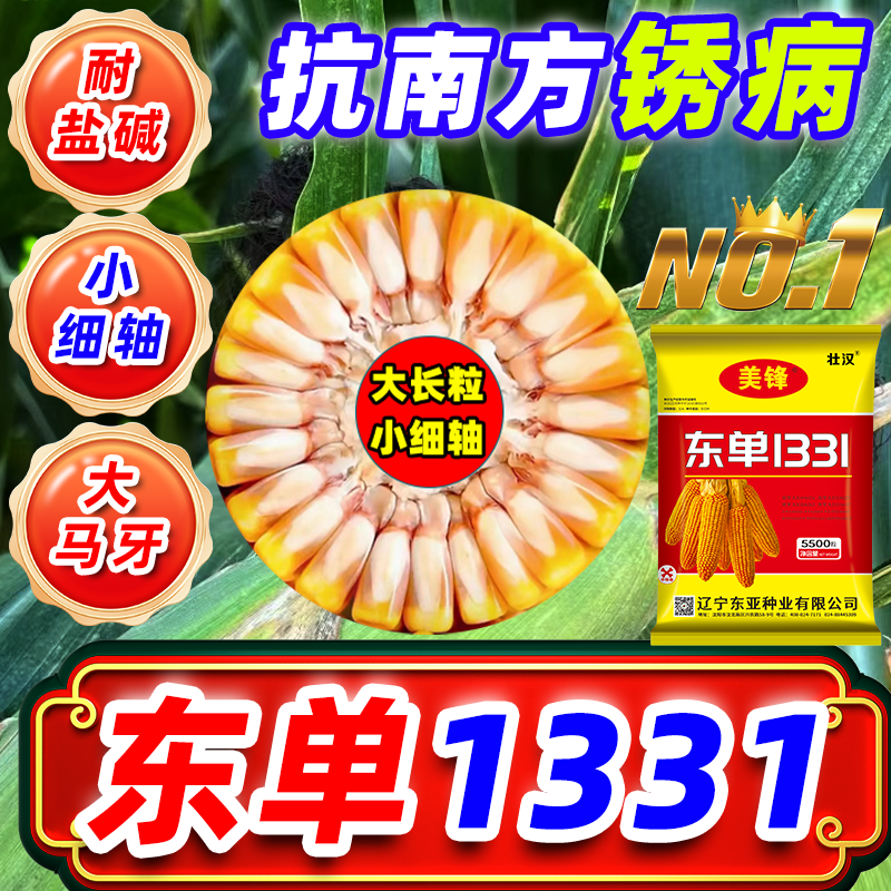 东单1331新玉米种子大全国审双棒矮杆抗倒抗病抗旱高产大棒苞谷种