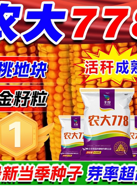 农大778玉米种子大全高产大棒双胞胎矮杆抗倒伏活秆成熟苞米