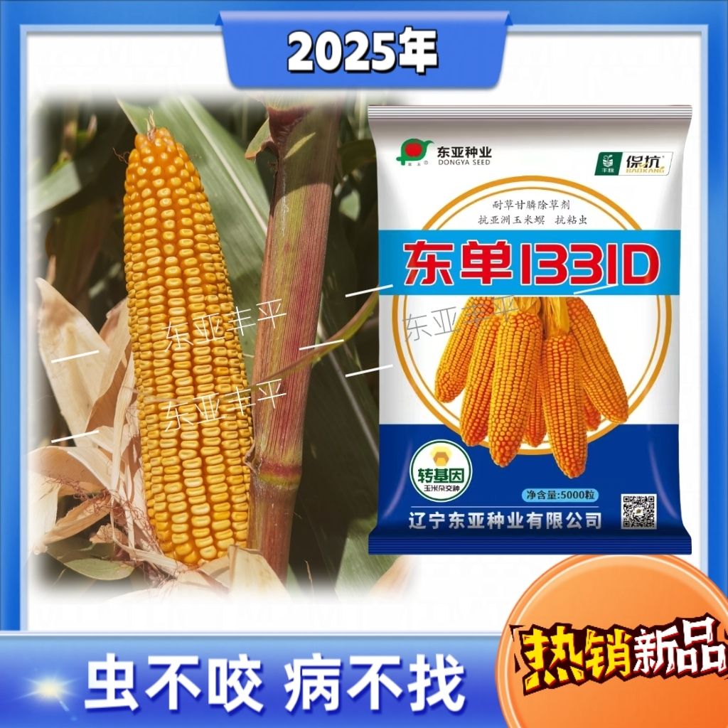 东单1331D双抗版原装正品玉米种子国审矮杆锈病高产抗虫抗倒抗病