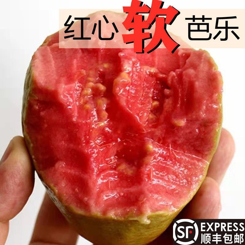 美荔之佳红心芭乐红心软糯番石榴