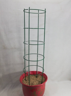 新款蟹爪兰支架老汉蟹爪兰令箭荷花盆栽植物园艺爬藤支架兰花架子
