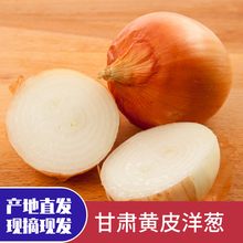 甘肃黄皮洋葱5斤新货新鲜洋葱头黄皮圆葱农家蔬菜特产批发包邮