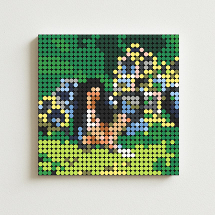 SZA积木专辑周边封面像素积木画Ctrl海报