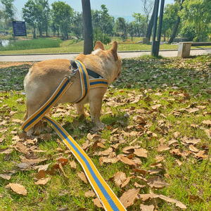 可调节防咬断中小型犬遛狗狗牵引绳子背心式胸背带法斗牛泰迪柯基