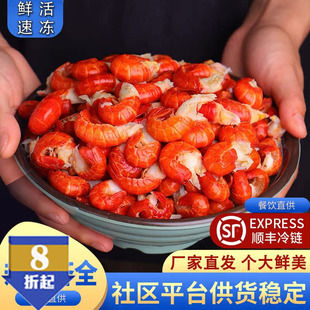 无冰龙虾尾冷冻生鲜家庭特大号一级整箱特级商用速冻鲜活鲜冻虾球