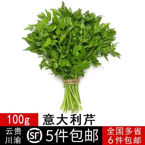 新鲜蔬菜 巴西利 洋香菜 欧芹 洋芫荽 香料 意大利芹100g Parsley