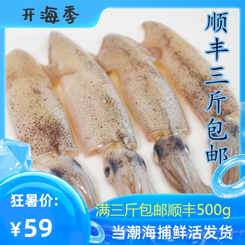 大连庄河海鲜海毛 海兔笔管子鲜活