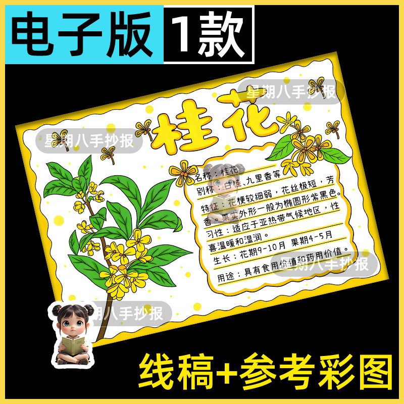 桂花手抄报模板电子版小学生植物花卉手抄报桂花树牌小报儿童画a4