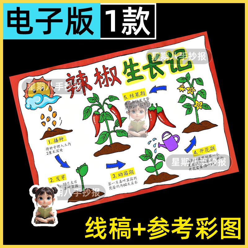 辣椒生长记自然笔记手抄报电子模板记录植物成长过程观察日记小报