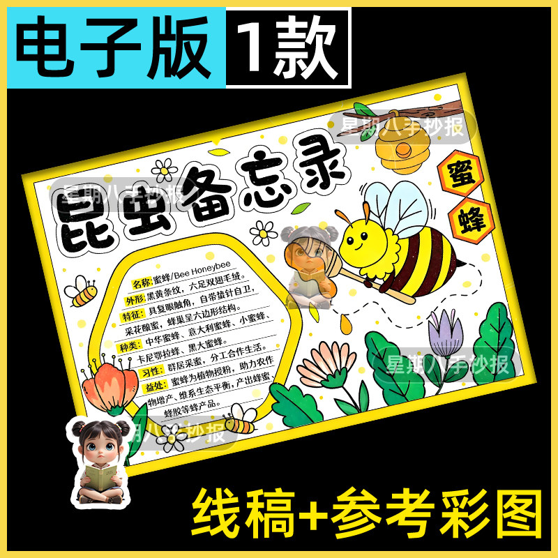 蜜蜂昆虫备忘录手抄报电子模板 小学生三年级昆虫外形习性线稿8k