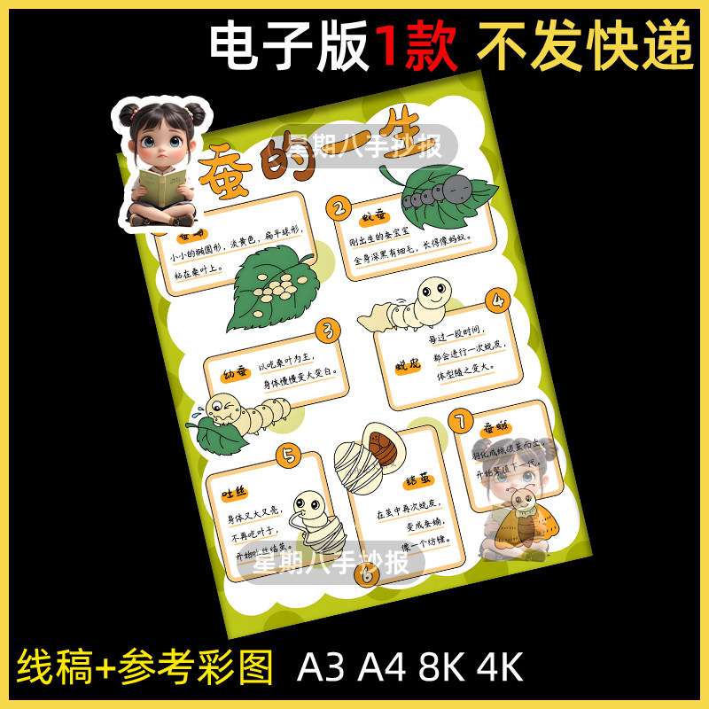 蚕的一生手抄报蚕宝宝成长记昆虫自然观察笔记蚕的生长过程竖版a4