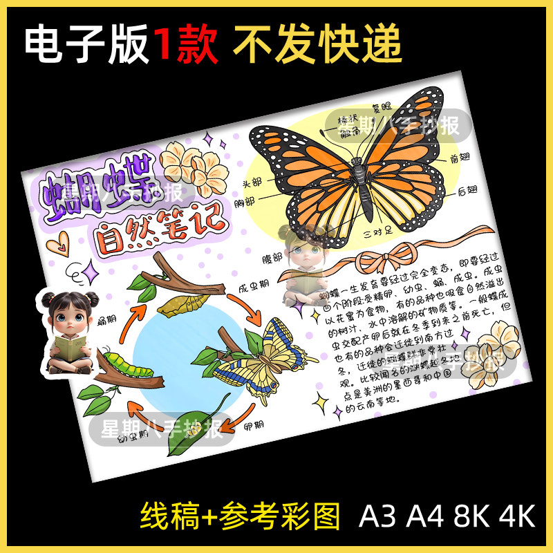 蝴蝶自然笔记手抄报电子模板昆虫生长过程观察笔记动物名片线稿a3