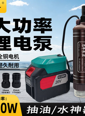 锂电款大功率抽水抽油泵