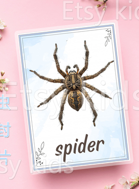 Insects昆虫主题儿童英语启蒙单词卡片英文闪卡20张